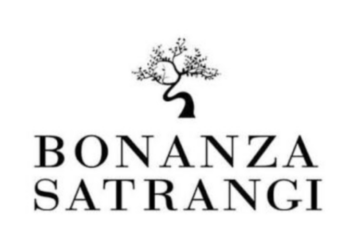 Bonanza Satrangi CEO faces backlash over controversial remarks on Iran’s Supreme Leader