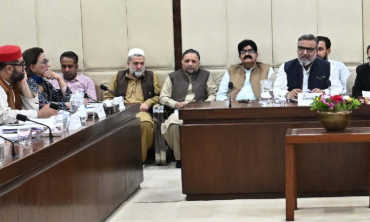 Senate panel sounds alarm over gas cylinder explosions, seeks accountability and urgent reforms