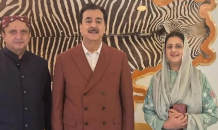 Chairman Senate meets PPP MNAs to discuss political situation in Sindh