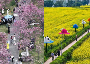 China explores holiday reforms to improve work-life balance, boost consumption