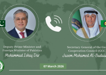 Ishaq Dar holds talks with GCC Secretary-General on regional stability