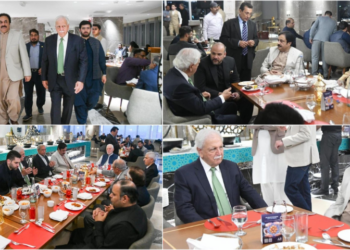 Unity among political forces essential for Pakistan’s stability and progress: Deputy Chairman Senate