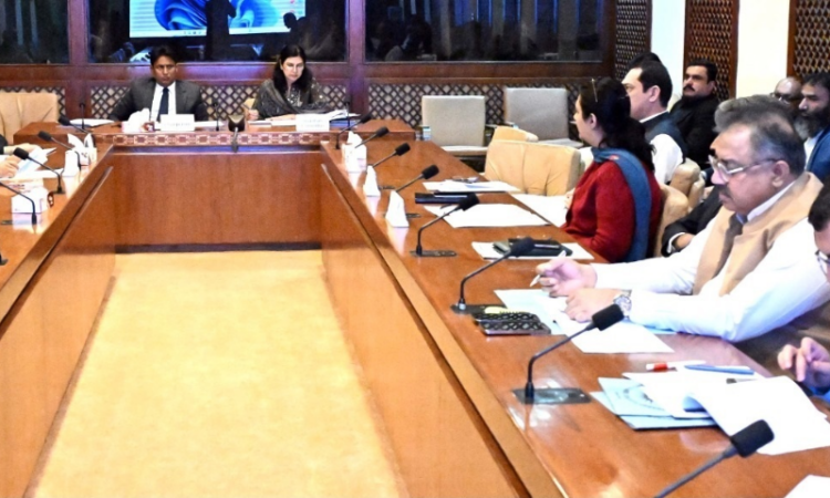 Senate panel expresses concern over underrepresentation of Balochistan and Sindh in Federal Secretariat