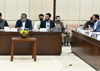 Senate committee on health reviews vape regulations, medical admissions, and licensing policies