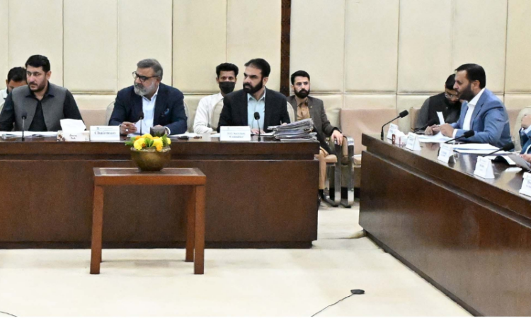 Senate committee on health reviews vape regulations, medical admissions, and licensing policies