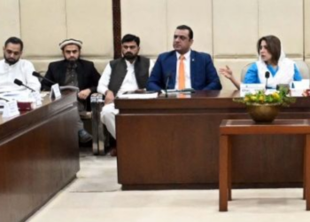 Senate IT committee reviews telecom projects, cybersecurity measures and data protection issues