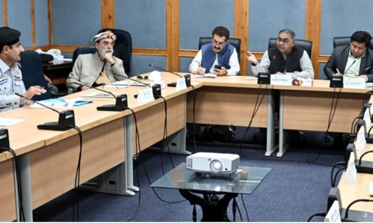 Senate panel seeks report on confiscated gold and cigarette theft investigation