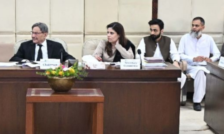 Senate committee raises concerns over lack of facilities at constitutional court