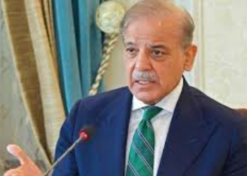 Pakistan offers to host talks to end Middle East conflict: PM Shehbaz Sharif