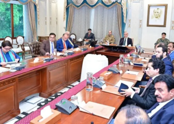 Govt rolls out relief measures amid fuel crisis triggered by Iran war: PM Shehbaz