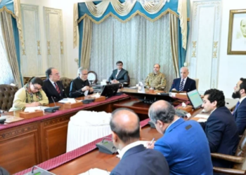 IB to monitor austerity plan implementation across government