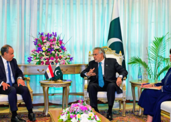 Pakistan, Egypt vow to deepen ties, boost trade and regional coordination