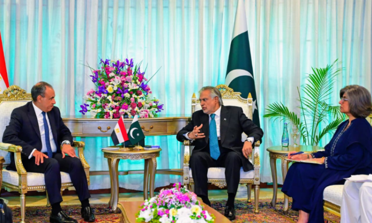 Pakistan, Egypt vow to deepen ties, boost trade and regional coordination