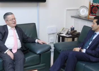 Pakistan, France discuss energy cooperation as Islamabad praised for fuel supply management