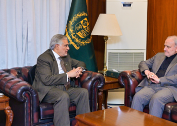 Iranian Ambassador meets Pakistani FM, highlights appreciation for support
