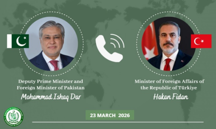 Pak, Turkish FMs discuss regional situation, welcome diplomatic efforts