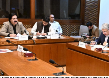 Senate sub-committee reviews petroleum boards’ legal framework, seeks briefing on PSO, PPL and PARCO