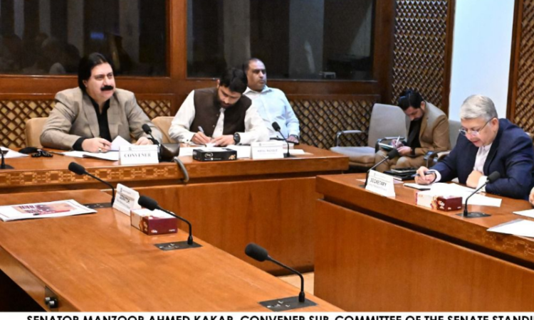 Senate sub-committee reviews petroleum boards’ legal framework, seeks briefing on PSO, PPL and PARCO