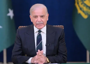 PM Shehbaz decides against petroleum price hike despite global oil surge