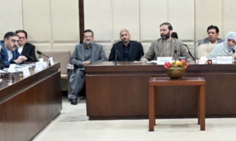 Senate committee reviews privatization of PMDC and PIA, discusses assets, finances and employee welfare