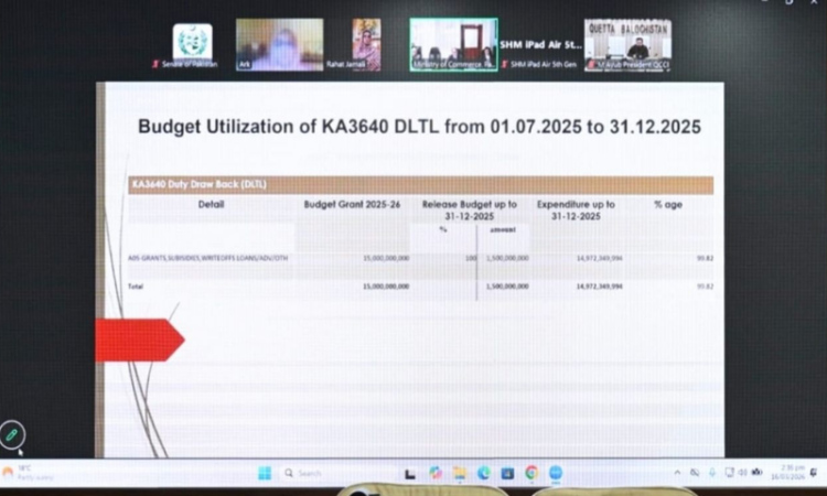 Senate body questions Quetta Expo Centre project, reviews trade initiatives and IPO backlog