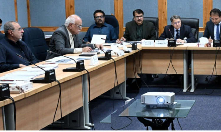 Senate panel passes motion picture amendment bill, forms sub-committee on PECA FIRs issue