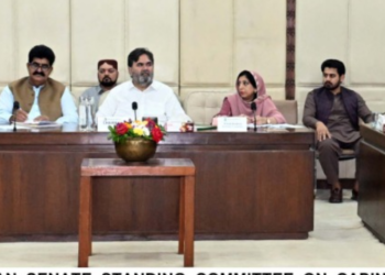 Senate committee calls for reforms in commerce & trade group to strengthen Ministry of Commerce