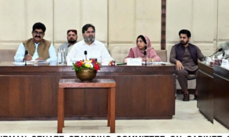 Senate committee calls for reforms in commerce & trade group to strengthen Ministry of Commerce