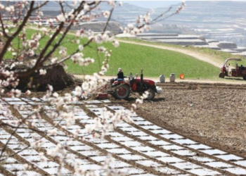 Digital tide breathes new life into NW China spring farming