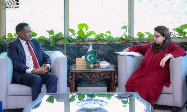Oumer Hussien Oba calls on Shaza Fatima Khawaja to boost ICT cooperation