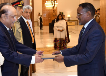 Ambassador Dr. Oumer presents credentials to the President
