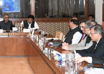 Senate Sub-Committee raises alarm over smuggling, tax evasion, and revenue losses