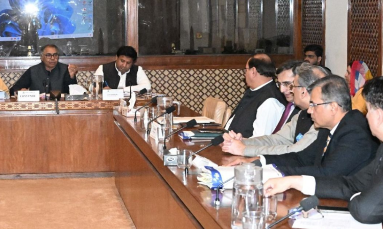 Senate Sub-Committee raises alarm over smuggling, tax evasion, and revenue losses