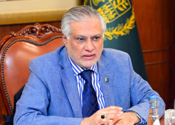 Ishaq Dar chairs Steering Committee meeting on fuel subsidy and austerity measures