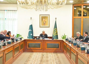 Ishaq Dar chairs National Steering Committee meeting on fuel subsidy scheme