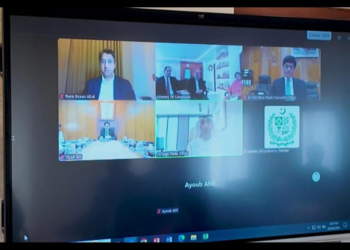 Pakistan, UAE agree to enhance trade cooperation in virtual meeting