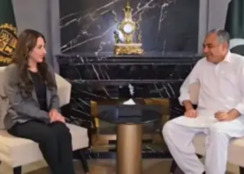 Naqvi meets US Charge d’Affaires, discusses US-Iran peace talks and regional stability efforts