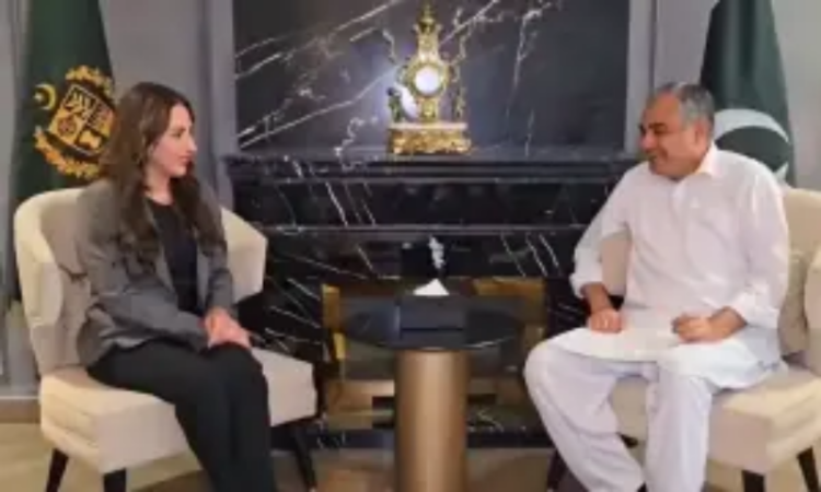 Naqvi meets US Charge d’Affaires, discusses US-Iran peace talks and regional stability efforts