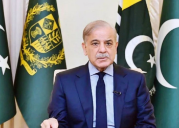 PM Shehbaz urges provinces to release funds for fuel subsidy amid energy crisis