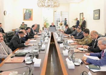 PM Shehbaz emphasises energy security, pushes shift to electric vehicles and strategic oil reserves