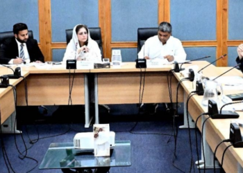 Senate panel reviews Pakistan Bait-ul-Mal affairs, declares illegal promotions void