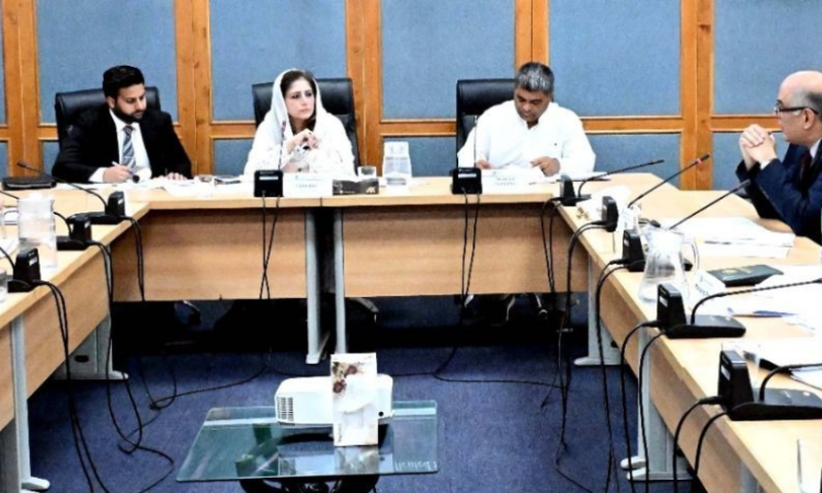 Senate panel reviews Pakistan Bait-ul-Mal affairs, declares illegal promotions void