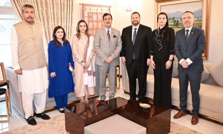 Romanian Ambassador calls on Chairman Senate, presents him official album