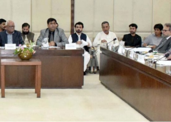 Senate panel orders third-party probe into PIA cabin crew incident