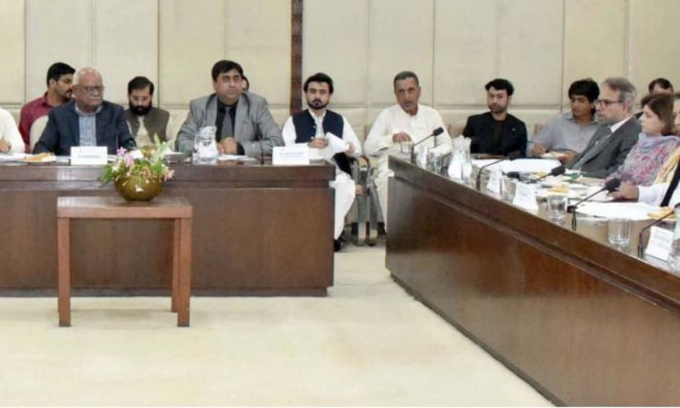 Senate panel orders third-party probe into PIA cabin crew incident