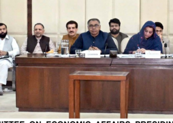 Power division criticized for failure to act on committee recommendations