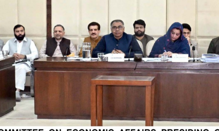 Power division criticized for failure to act on committee recommendations