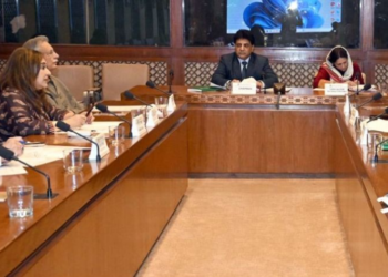 Senate committee rejects proposed amendments to Elections Act, 2017