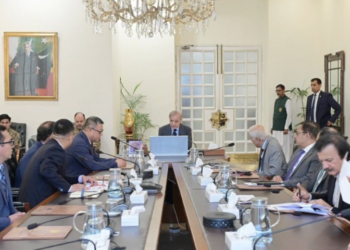 PM Shehbaz Sharif reaffirms commitment to Pakistan-China industrial cooperation