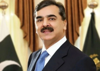 PAF delegation meets Acting President Gilani, discusses defence technology and security